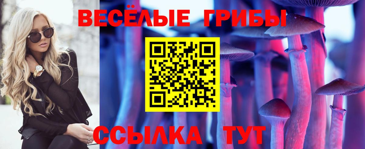 Галлюциногенные грибы прущие грибы Озёры